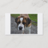 Entzückender Bernhardiner Visitenkarte (Rückseite)