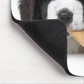 Entzückender Bernhardiner-Welpe, der auf einem Mousepad (Ecke)