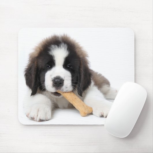 Entzückender Bernhardiner-Welpe, der auf einem Mousepad (Mit Mouse)