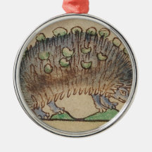 Entzückender Blau-füßiger Igel