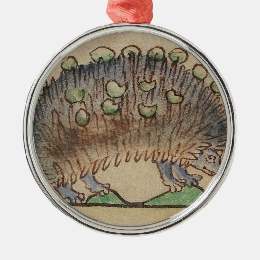 Entzückender Blau-füßiger Igel Silbernes Ornament (Vorne)