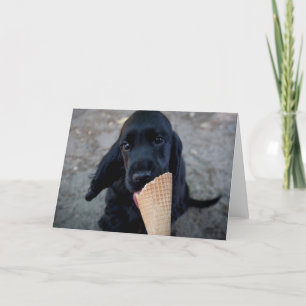 Entzückender cocker spaniel-Welpe - Grußkarte Karte