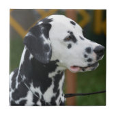 Entzückender Dalmatiner Fliese (Vorderseite)