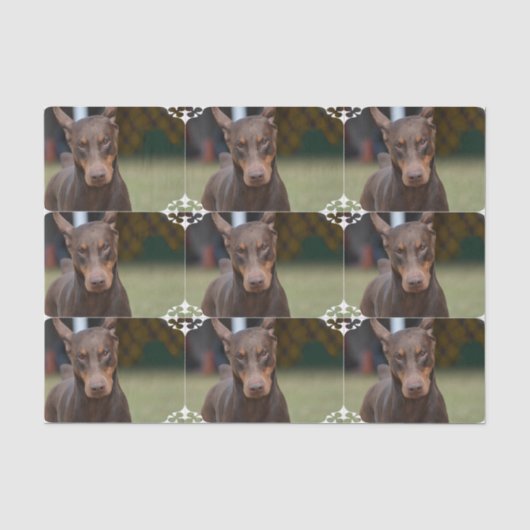Entzückender DobermannPinscher Seidenpapier (Vorderseite)