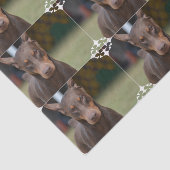 Entzückender DobermannPinscher Seidenpapier (Ausschnitt)