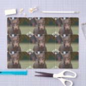 Entzückender DobermannPinscher Seidenpapier (Handwerk)
