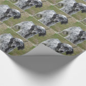 Entzückender englischer Schwarzweiss-Setzer Geschenkpapier (Ecke)