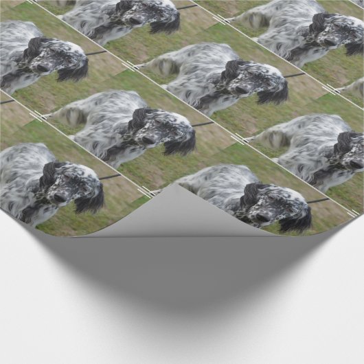 Entzückender englischer Schwarzweiss-Setzer Geschenkpapier (Ecke)