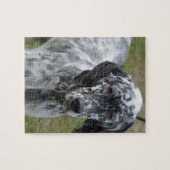 Entzückender englischer Schwarzweiss-Setzer Puzzle (Horizontal)