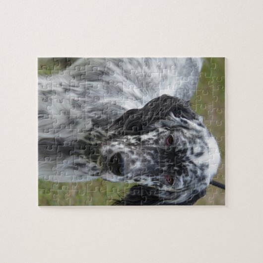 Entzückender englischer Schwarzweiss-Setzer Puzzle (Horizontal)