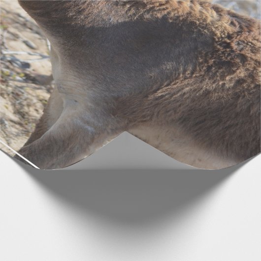 Entzückender Esel Geschenkpapier (Ecke)