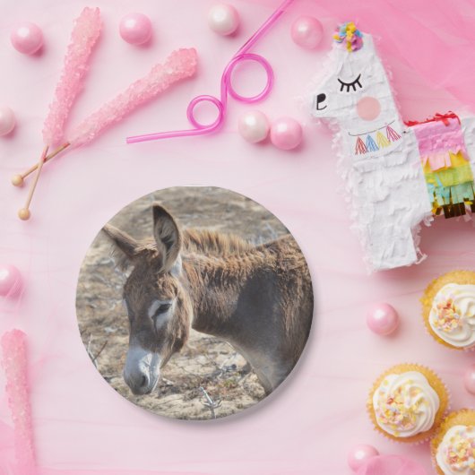 Entzückender Esel Pappteller (Party)