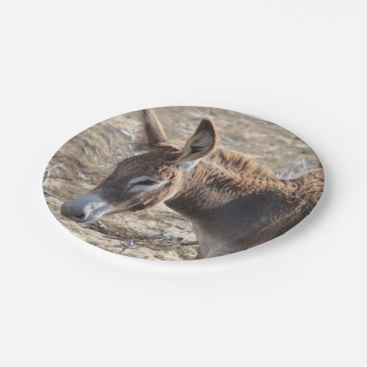 Entzückender Esel Pappteller (Schrägansicht)