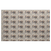 Entzückender Esel Stoff (Fat Quarter (45,7 x 55,9 cm))