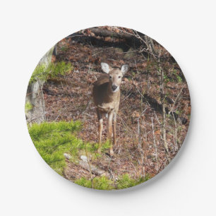 Entzückender Hirsch im Wald Naturfotografie Pappteller