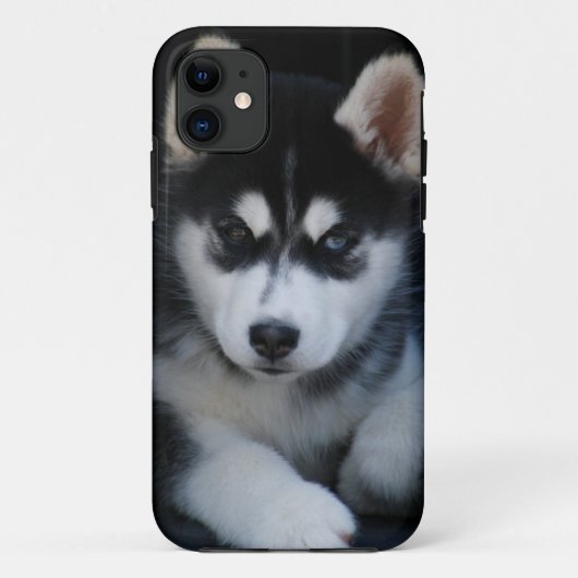Entzückender Husky-Schlitten-Hundewelpe Case-Mate iPhone Hülle (Rückseite)