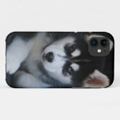 Entzückender Husky-Schlitten-Hundewelpe Case-Mate iPhone Hülle (Rückseite (Horizontal))