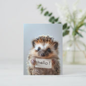 Entzückender Igel mit "Hallo!"-Schild Postkarte (Stehend Vorderseite)