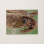 Entzückender Irischer Setter Puzzle (Horizontal)