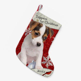 Entzückender Jack-Russell-Welpen-WeihnachtsStrumpf Kleiner Weihnachtsstrumpf