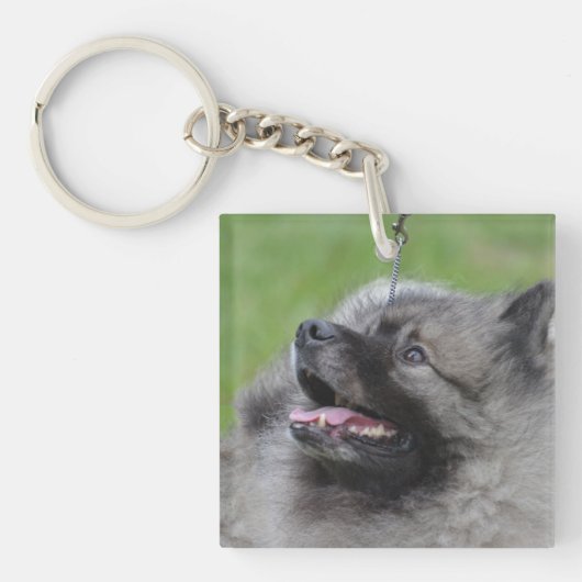 Entzückender Keeshond Schlüsselanhänger (Vorderseite)