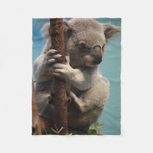 Entzückender Koala, der auf Baum-Fleece-Decke hält Fleecedecke (Vorderseite)