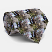 Entzückender Koala Krawatte (Gerollt)