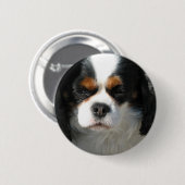 Entzückender Königcharles Spaniel-Knopf Button (Vorne & Hinten)