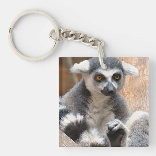 Entzückender Lemur Schlüsselanhänger (Vorderseite)