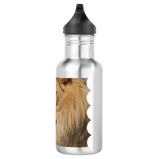 Entzückender Löwe Edelstahlflasche (Rechts)