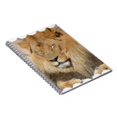 Entzückender Löwe Notizblock (Rechte Seite)