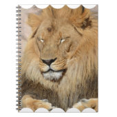 Entzückender Löwe Notizblock (Vorderseite)