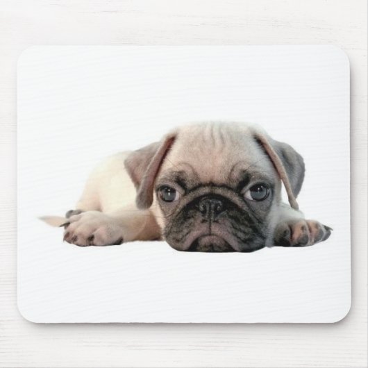 entzückender Mopswelpe Mousepad (Vorne)