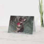 Entzückender niedlicher Babychihuahua-fröhliche Karte (Rückseite)