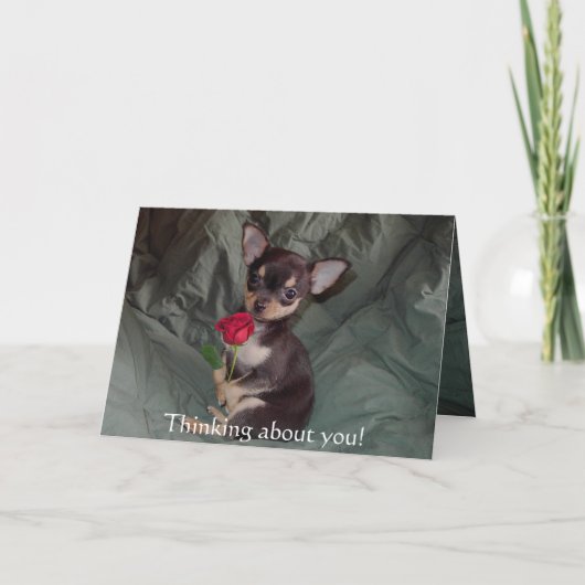 Entzückender niedlicher Babychihuahua-fröhliche Karte (Vorderseite)