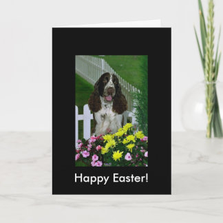 Entzückender niedlicher SpringerSpaniel Ostern Feiertagskarte