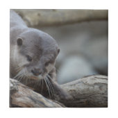 Entzückender Otter Fliese (Vorderseite)