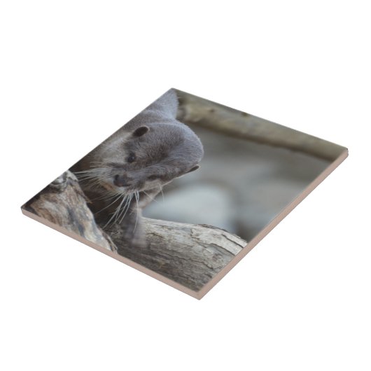 Entzückender Otter Fliese (Seite)