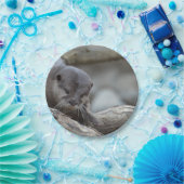 Entzückender Otter Pappteller (Party)