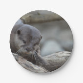 Entzückender Otter Pappteller (Vorderseite)
