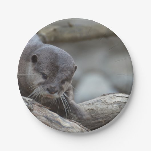 Entzückender Otter Pappteller (Vorderseite)