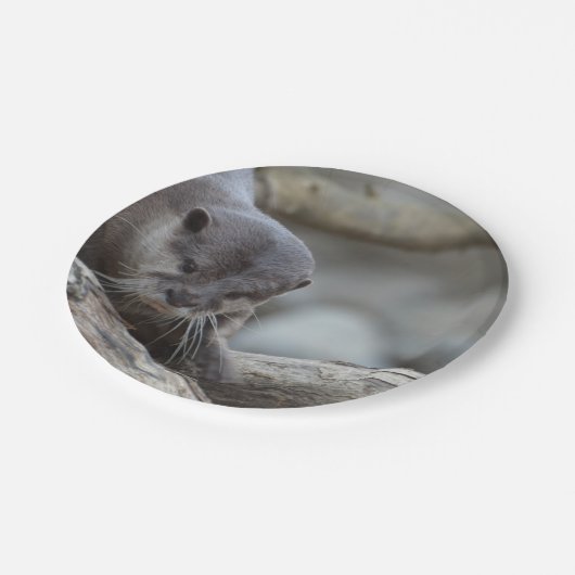Entzückender Otter Pappteller (Schrägansicht)