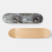 Entzückender Otter Skateboard (Horizontal)