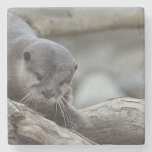 Entzückender Otter Steinuntersetzer