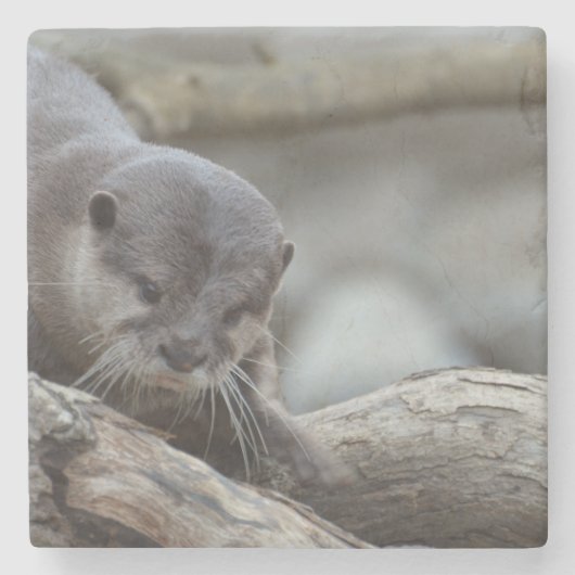 Entzückender Otter Steinuntersetzer (Vorderseite)