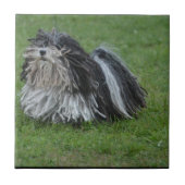Entzückender Puli Hund Fliese (Vorderseite)