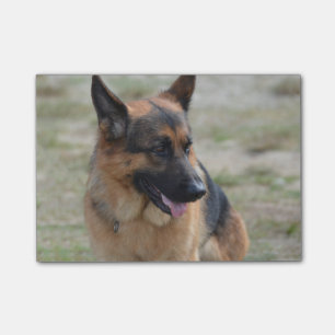 Entzückender Schäferhund Post-it Klebezettel