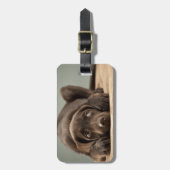 Entzückender Schokoladen-Labrador-Welpen-Entwurf Gepäckanhänger (Vorderseite vertikal)