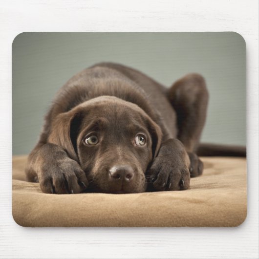 Entzückender Schokoladen-Labrador-Welpen-Entwurf Mousepad (Vorne)