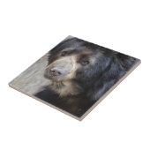 Entzückender schwarzer Bär Fliese (Seite)